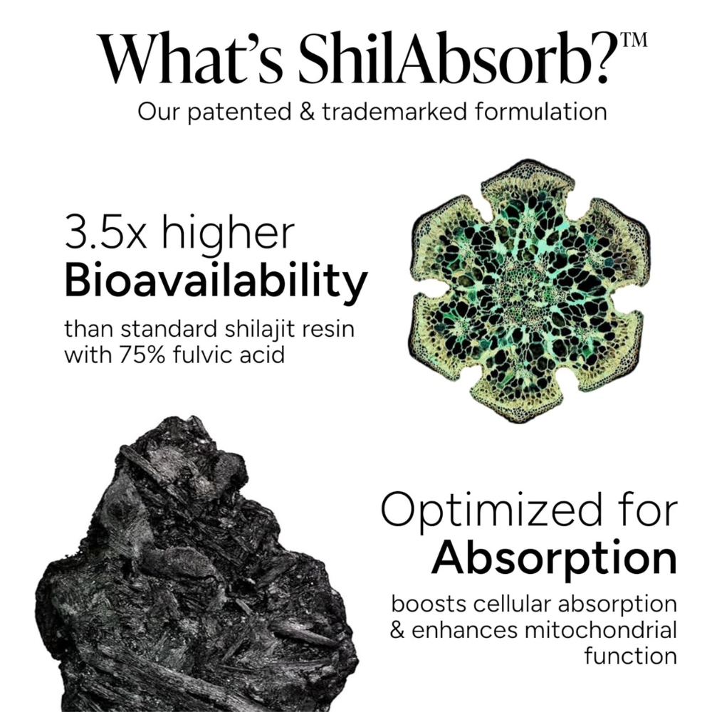 ALPHA Gummies | Male Potency and Extreme Energy