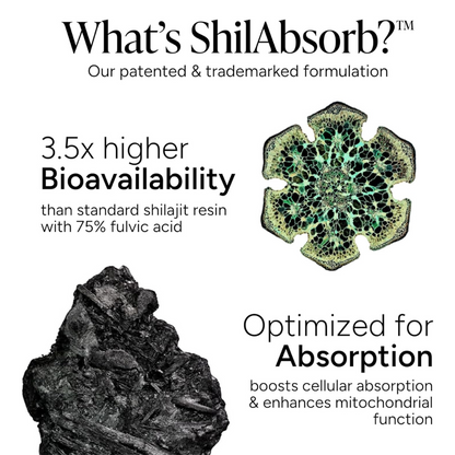 ALPHA Gummies | Male Potency and Extreme Energy